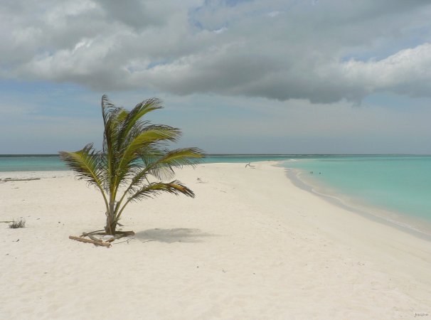73- La langue de sable 